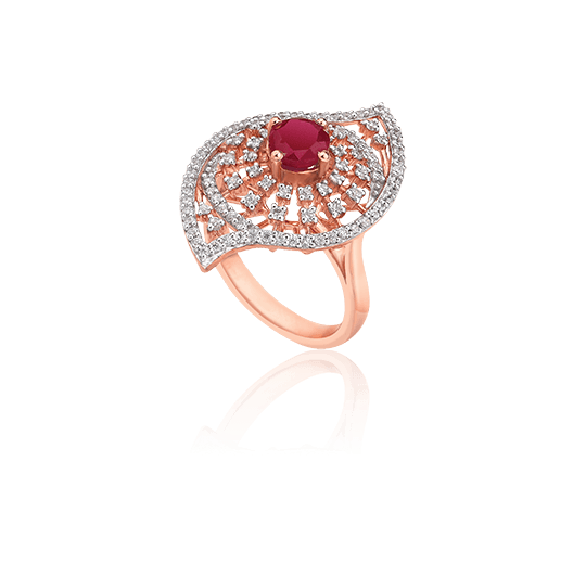 Asian Star Indian Fashion